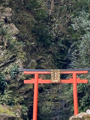 松尾大社霊亀の滝