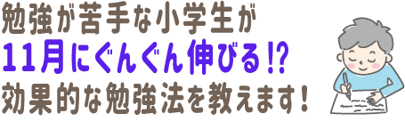 勉強が苦手な小学生が 
11月にぐんぐん伸びる⁉
効果的な勉強法を教えます！
