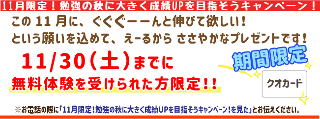 11月限定！勉強の秋に大きく成績アップを目指そうキャンペーン！この11月にぐぐぐーんと伸びてほしい！という願いを込めてえーるからささやかなプレゼントです！10月27日(月)までに無料体験を受けられた方限定！
※お電話の際に「11月限定！勉強の秋に大きく成績アップを目指そうキャンペーンを見た」とお伝えください。